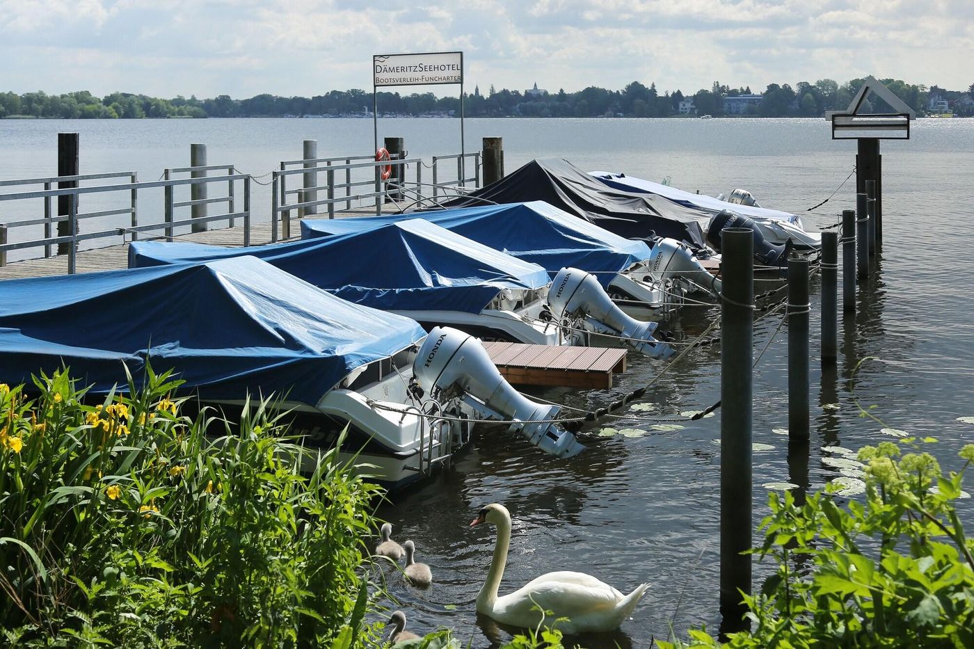 Dämeritz Seehotel-Germany-BERLIN -Terrace-7