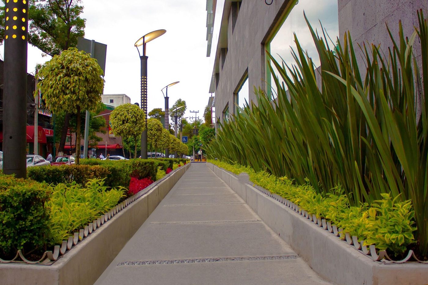 Novit-Mexico-Mexico City -General view-3