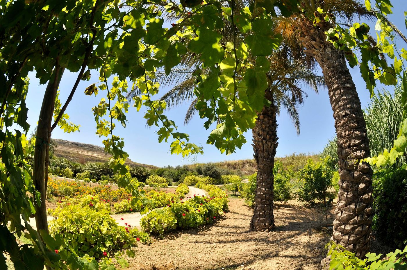 Kempinski-Hotel-San-Lawrenz-General-view-23