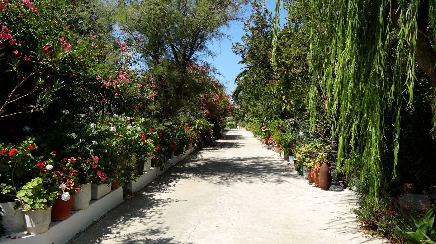 Baha-Ammes-General-view-8