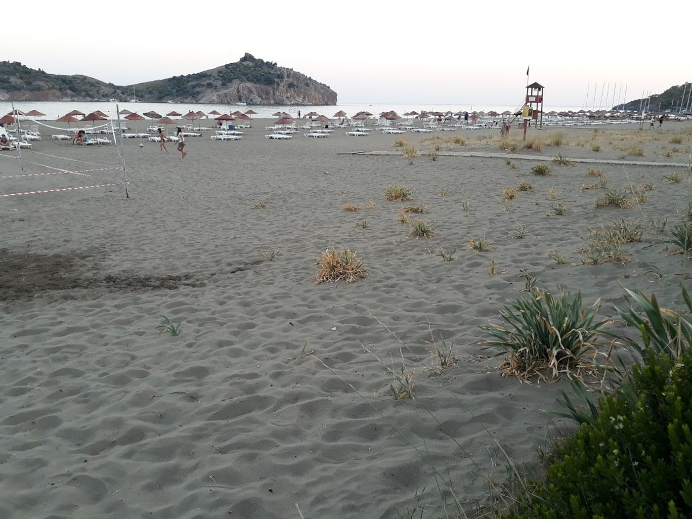 Dolphin-Apart-Beach-57