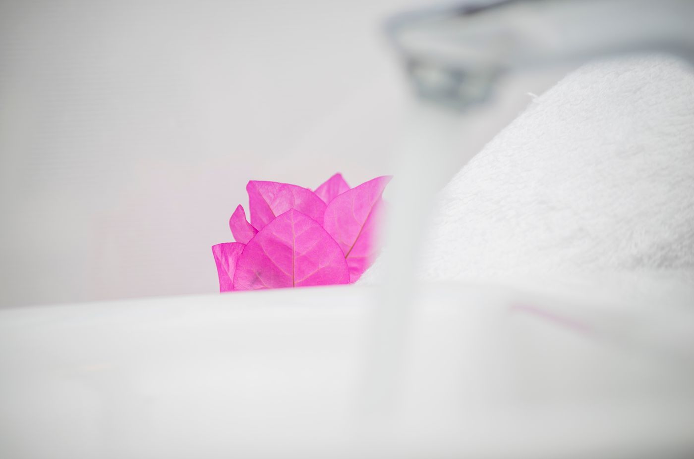 Paradise-Resort-Room-47