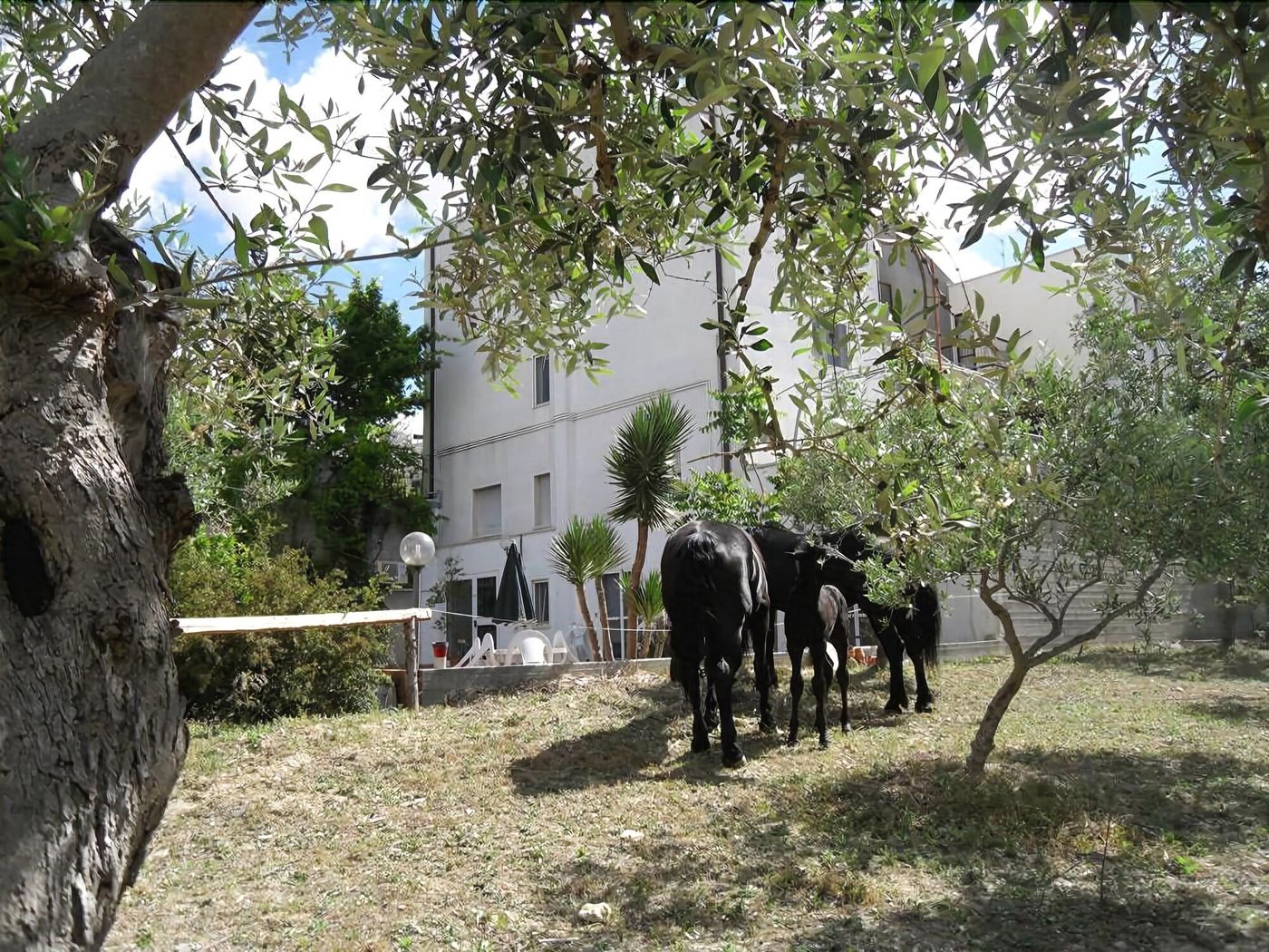 Le Sorbole-Italy-MATERA-General view-1