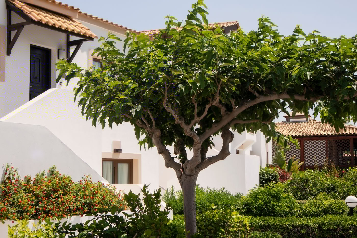 Aldemar Knossos Villas