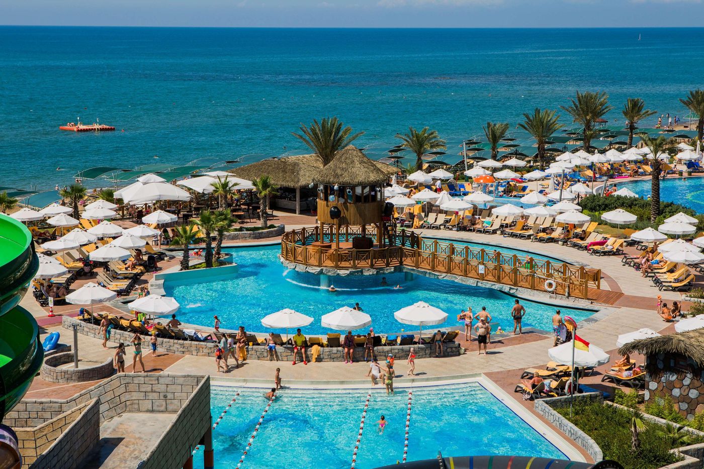 Papillon-Belvil-Pool-7