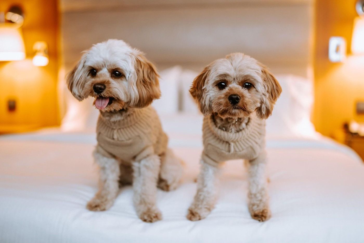 The-Westin-Warsaw-General-view-51