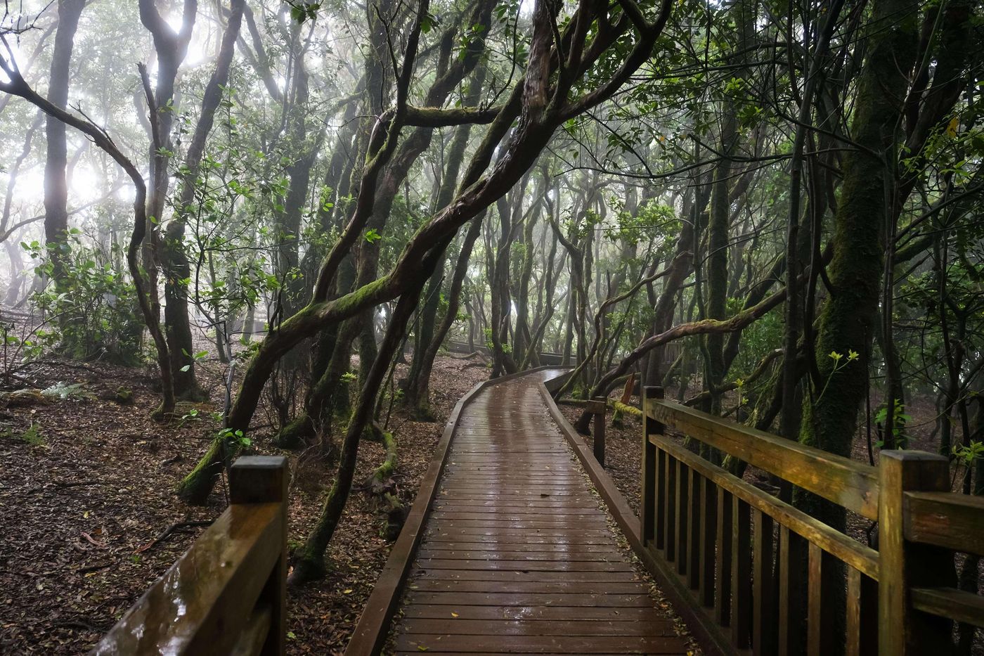Landmar-Hotel-Costa-de-los-Gigantes-General-view-89