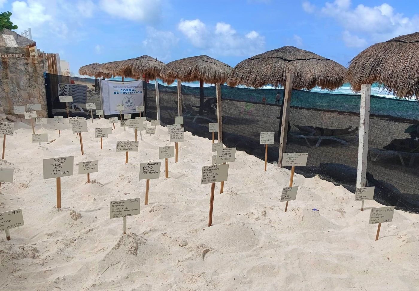 Solymar-Beach-Resort-Beach-49