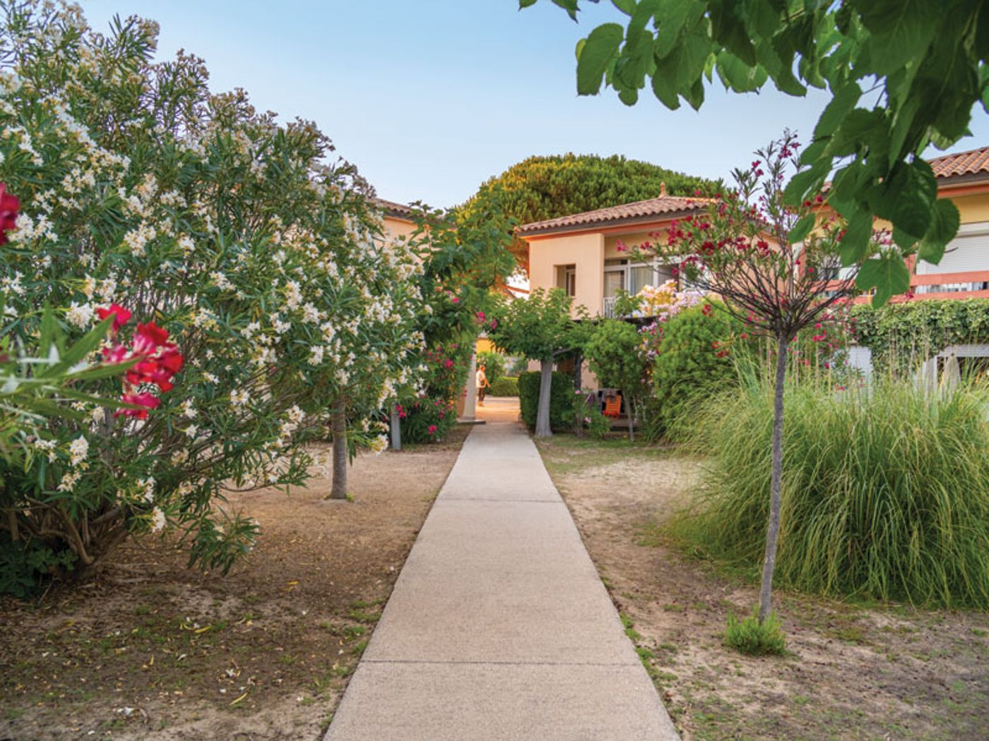 Sowell Family Le Grau Du Roi - France - Le Grau du Roi - General view - 3