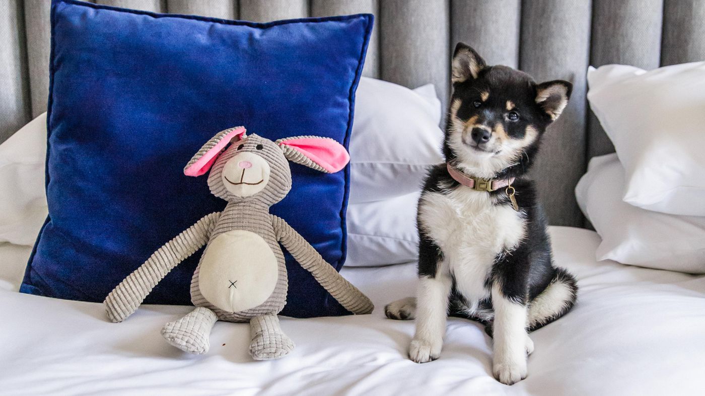 Kimpton-De-Witt-Amsterdam-Lobby-12