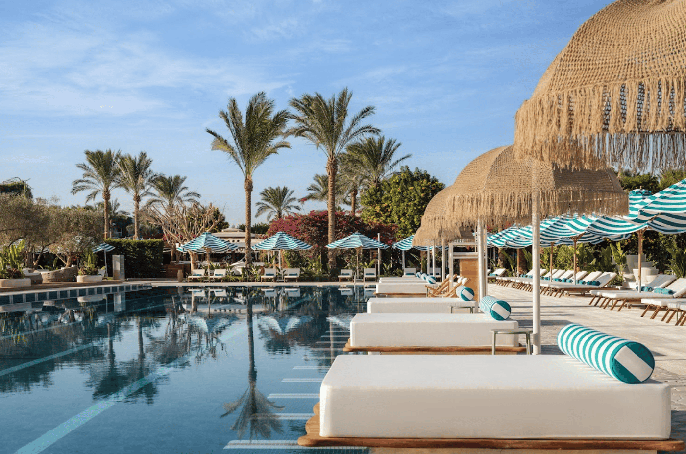 Desert Rose Hurghada 