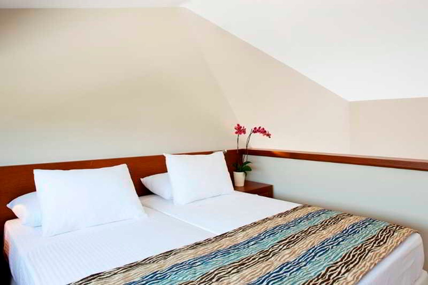 Apollonion-Asterias-Resort---Spa-Room-47