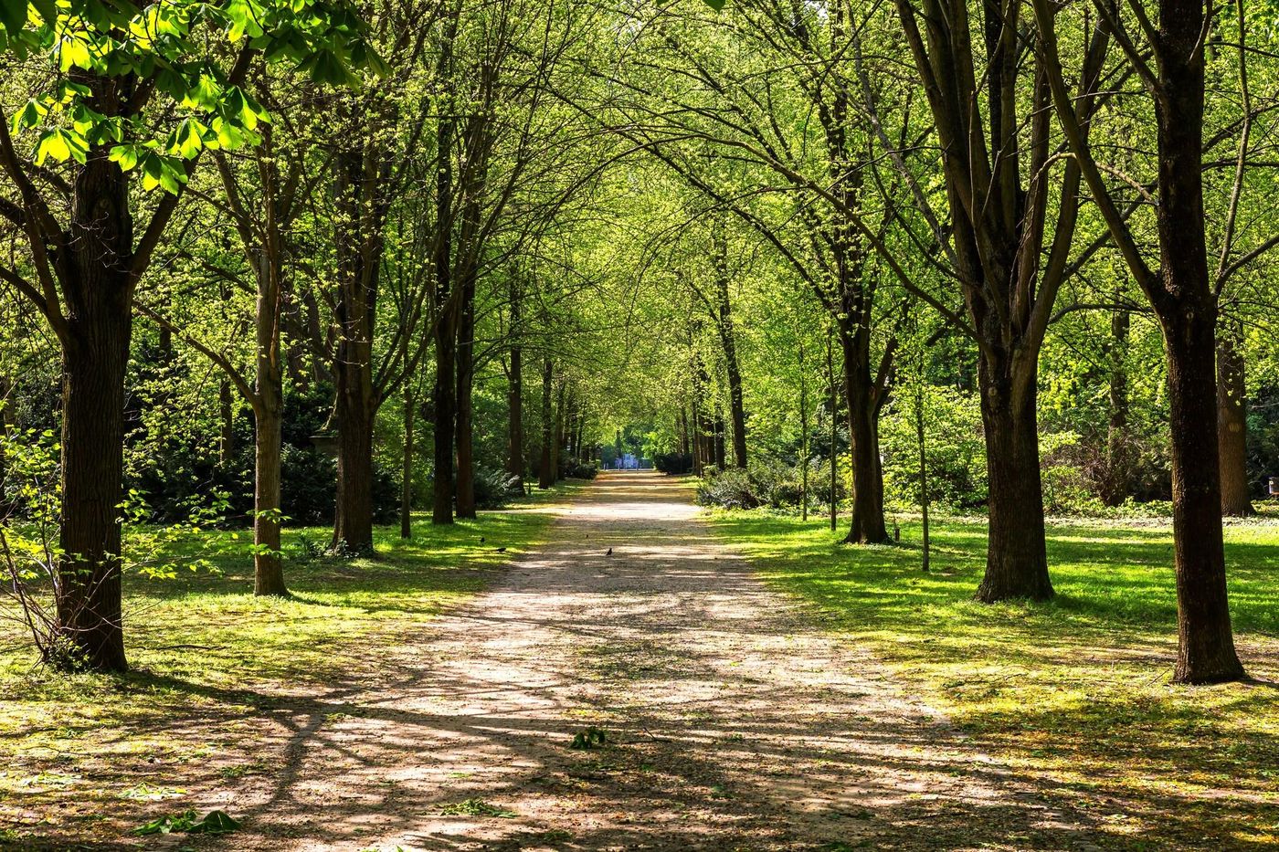 JW-Marriott-Hotel-Berlin-Sports-and-Entertainment-86