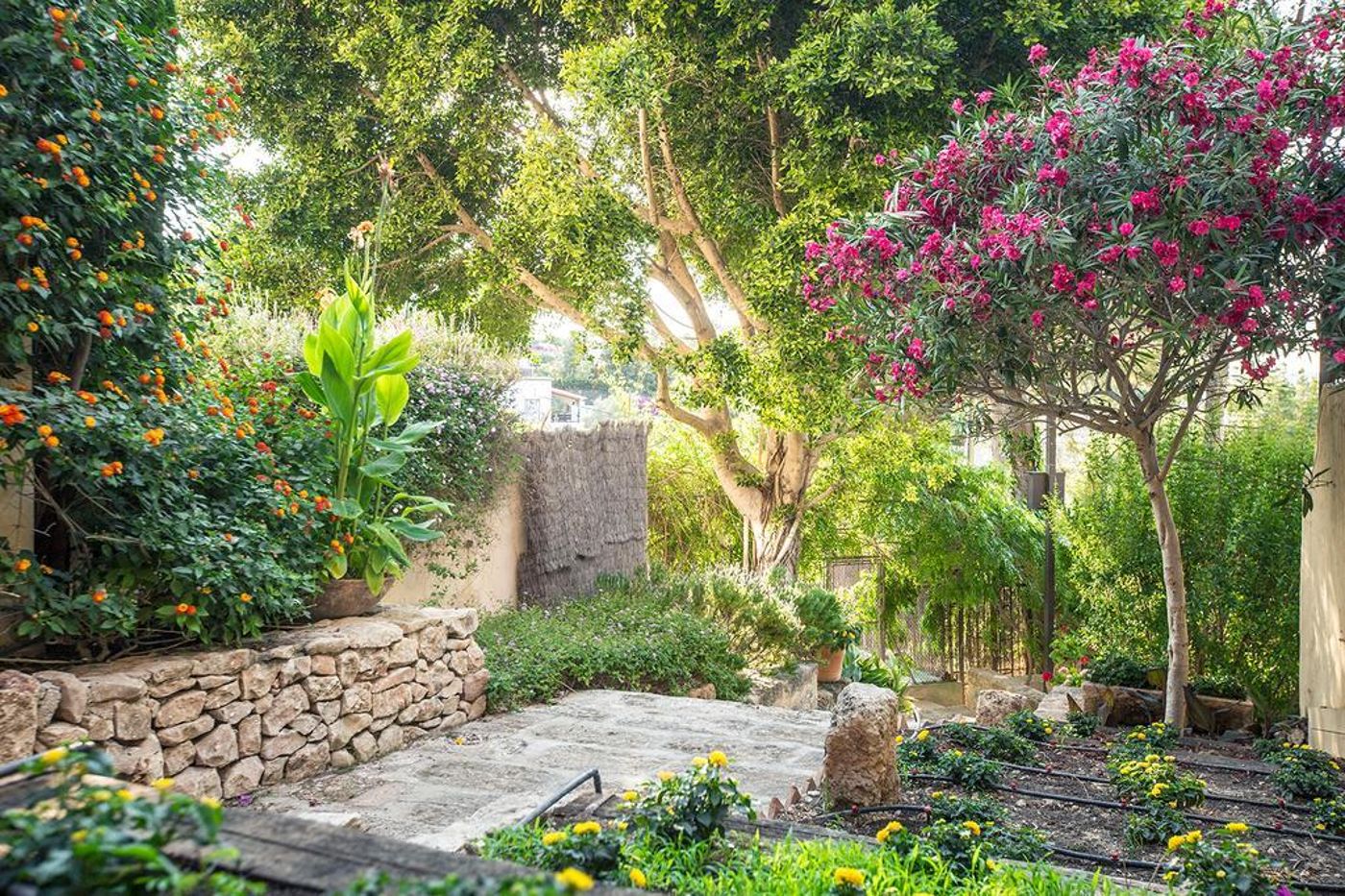 El-Rodat-General-view-38