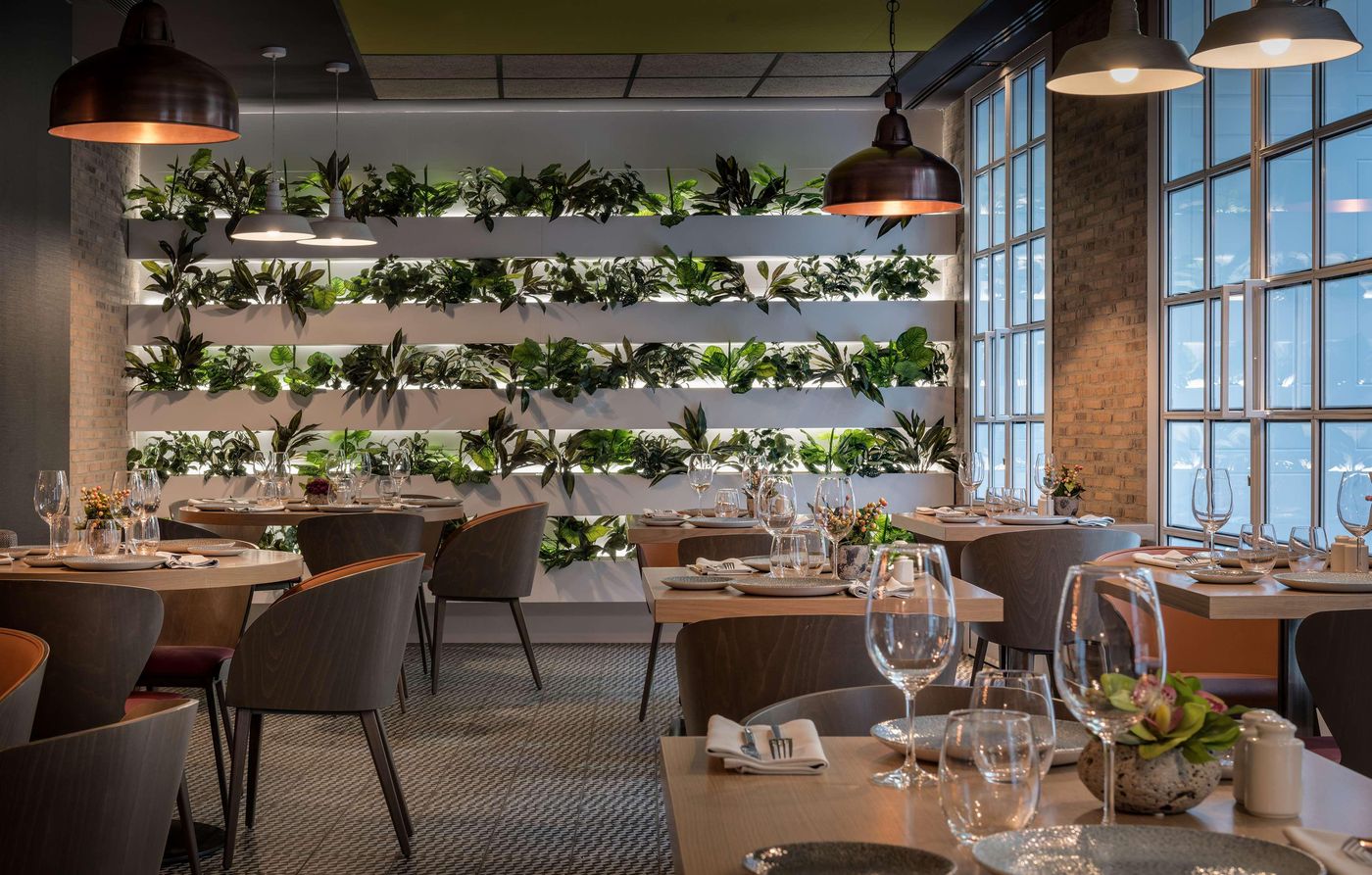 Catalonia-Gran-Via-Madrid-Restaurant-17