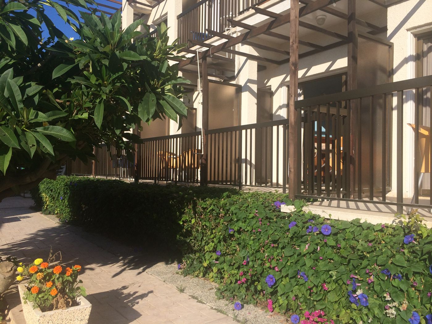 Kings-General-view-14