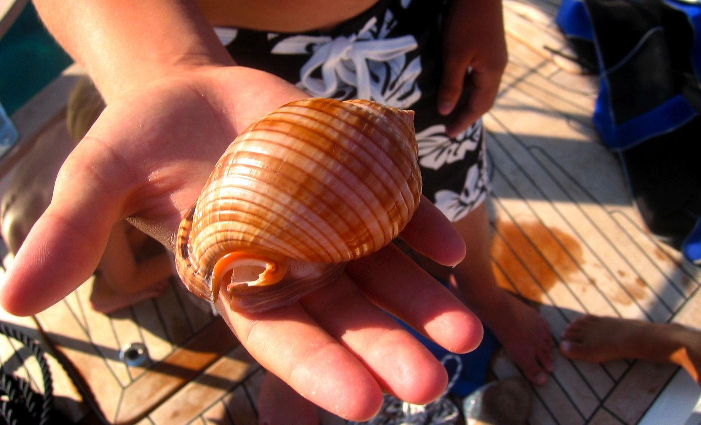 Apartments-Vila-Riva-Beach-68