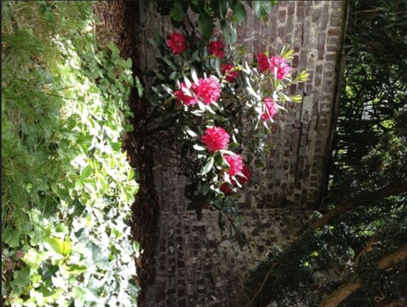 Am Hofgarten - Germany - DÃ¼SSELDORF - General view - 9