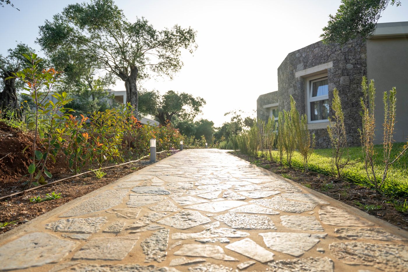 Debono-Hotel-Room-13