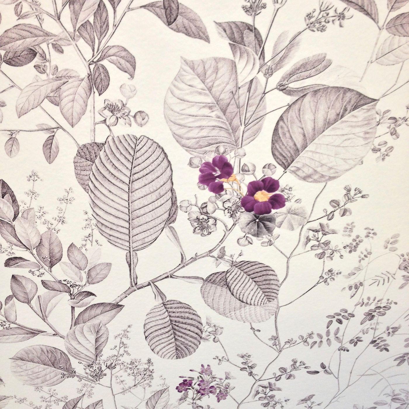 Mistral-Hotel-Room-31