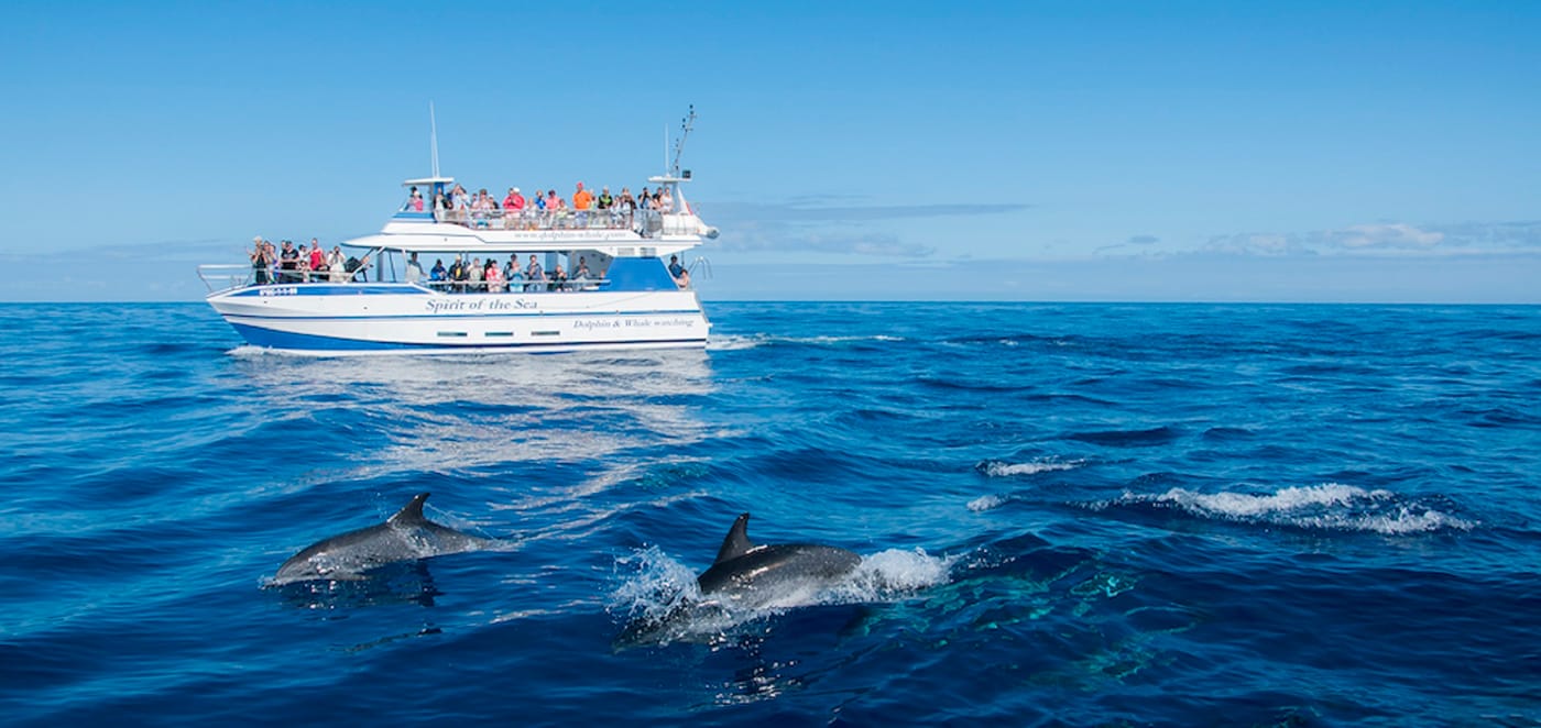 Gran-Amadores-General-view-21