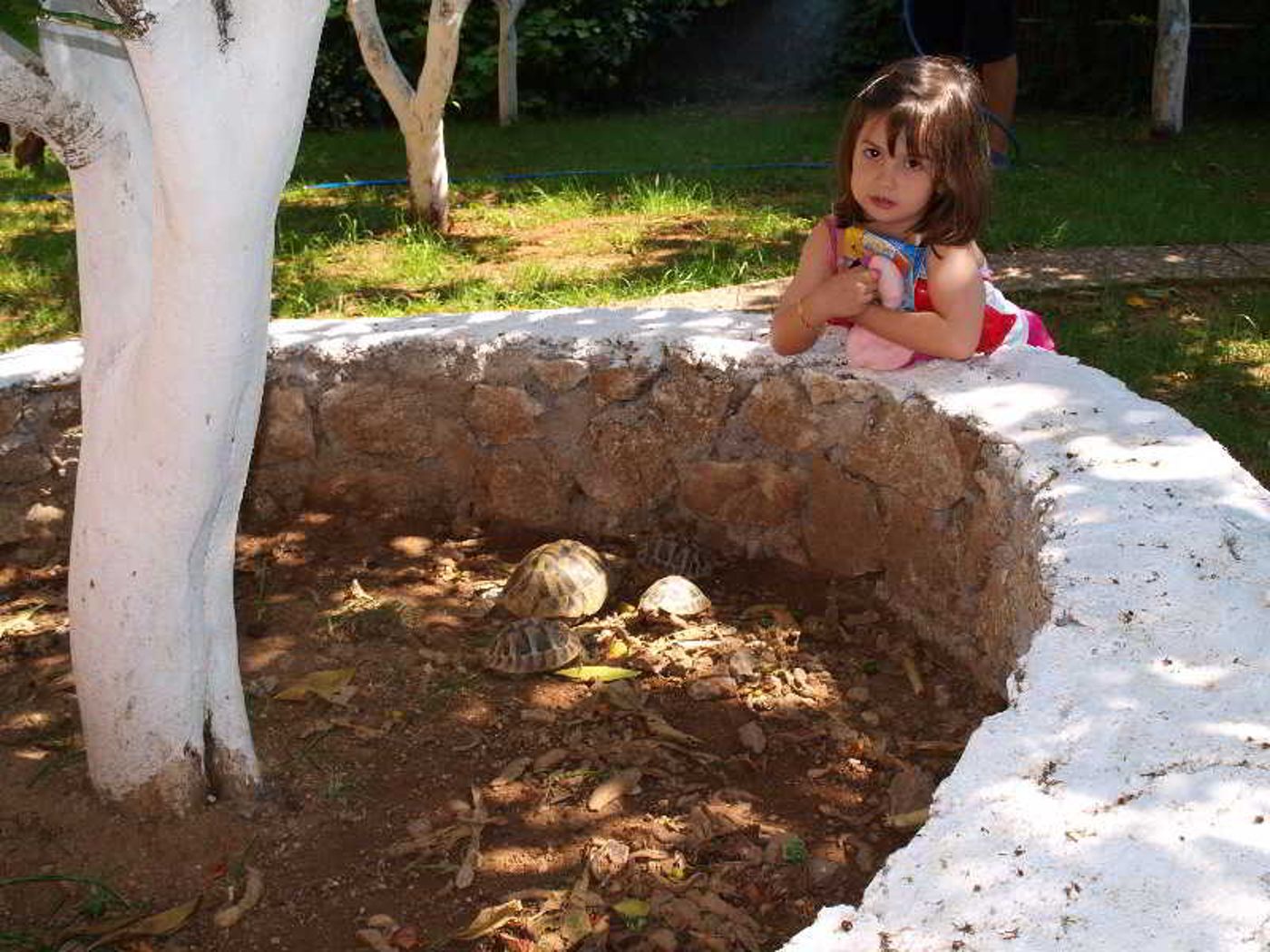 Fouxia-Apartments-and-Studios-Pool-60