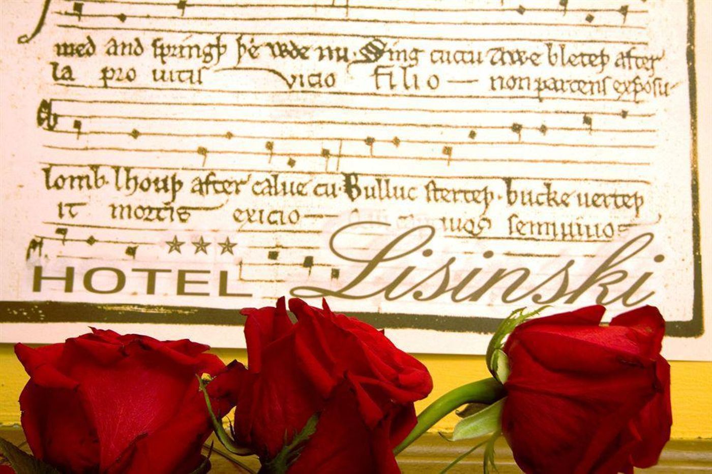 Hotel Lisinski-Croatia-ZAGREB-General view-4