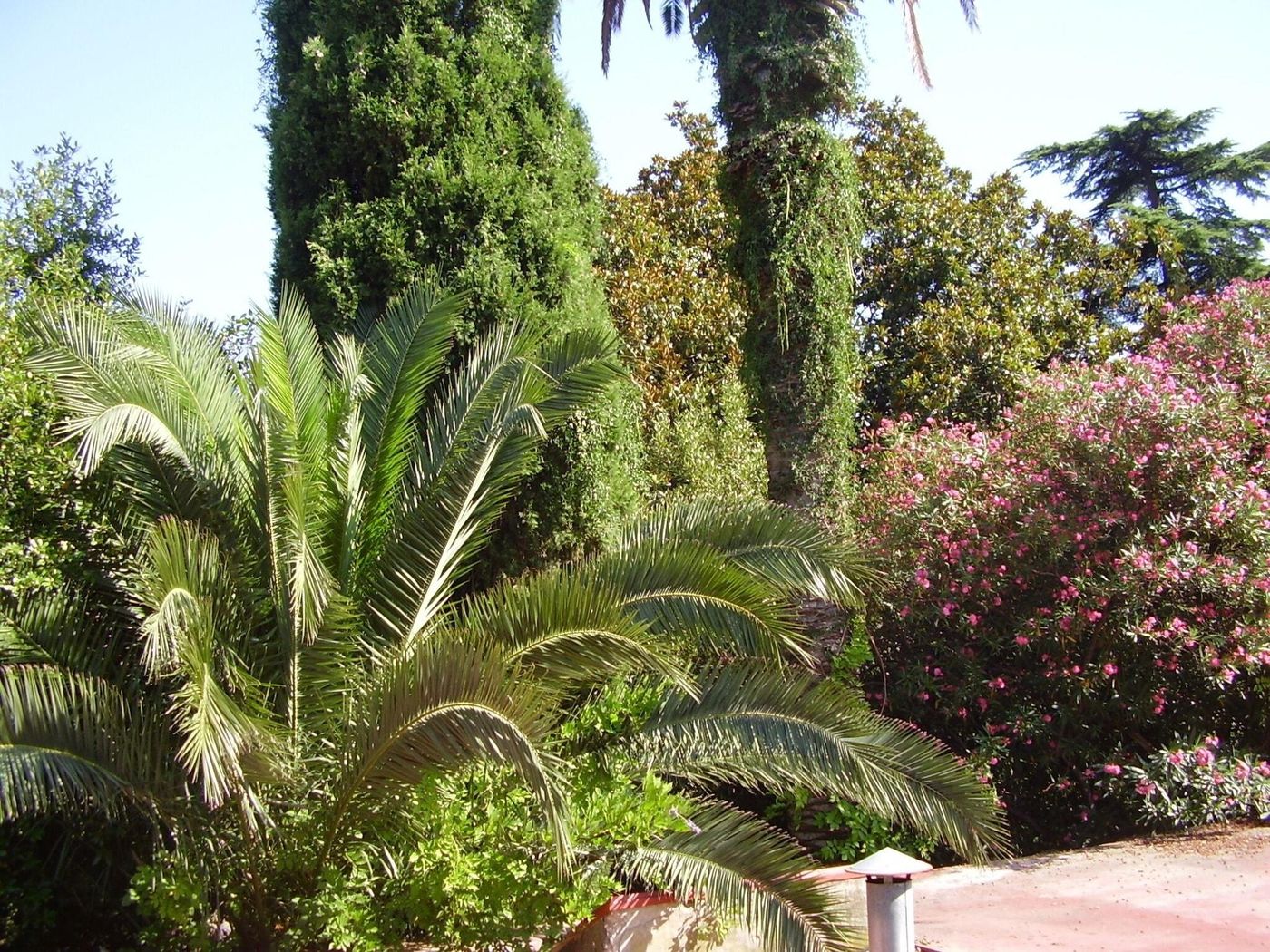 Hotel-Vimbula-Room-6