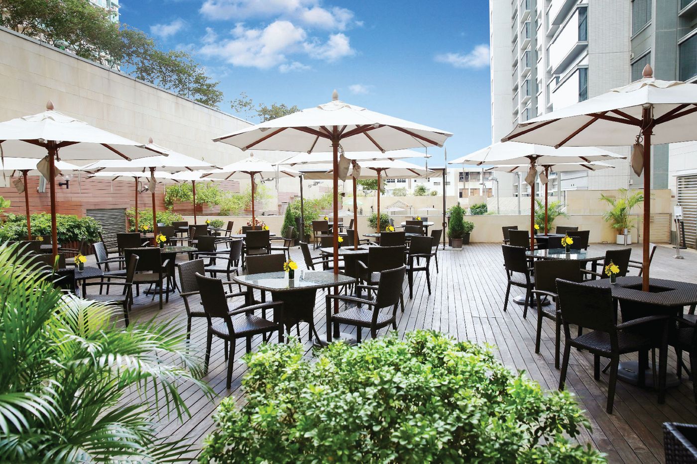 Harbour-Plaza-8-Degrees-Terrace-18