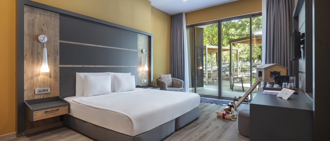 Nirvana Cosmopolitan