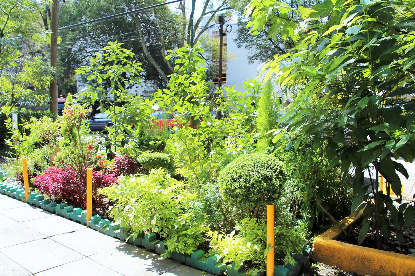 Residence L´ Heritage Tennyson by BlueBay-Mexico-CIUDAD DE MEXICO-General view-9