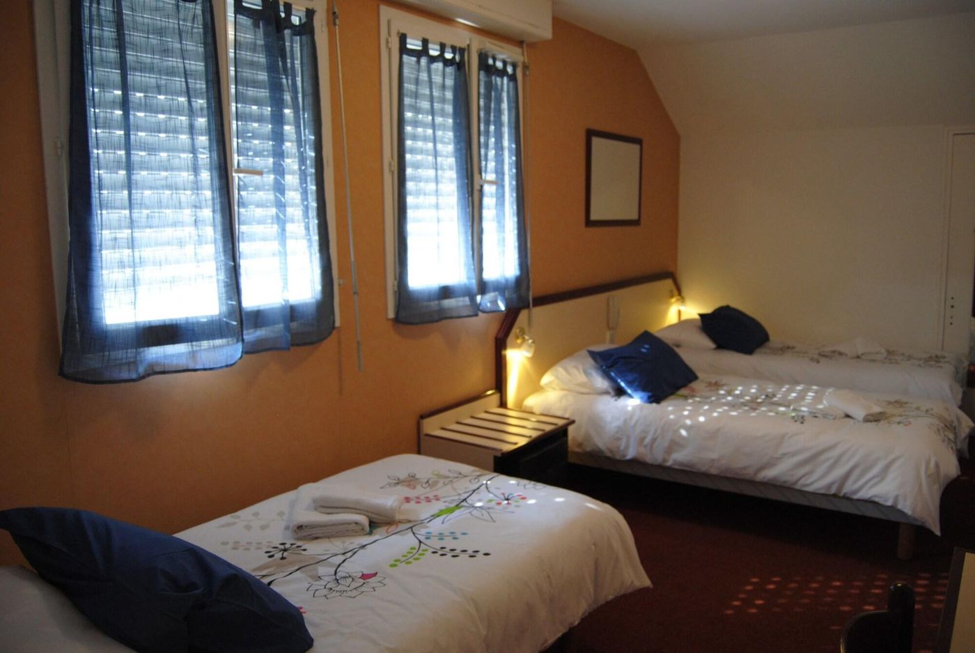 Myosotis-France-LOURDES -Room-5