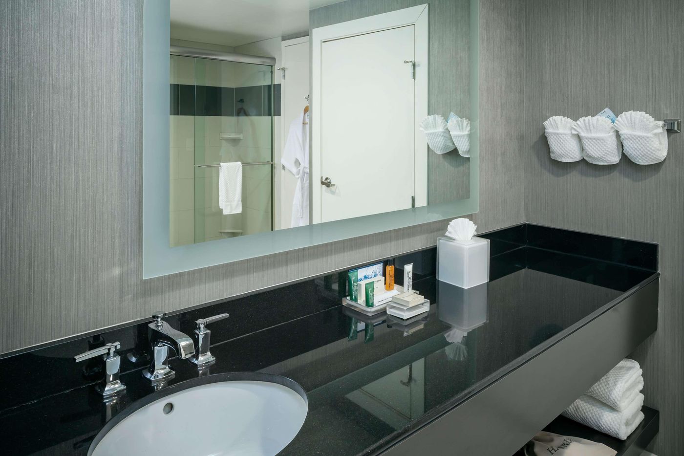 Hilton Brentwood/Nashville Suites-United States-BRENTWOOD-Room-8