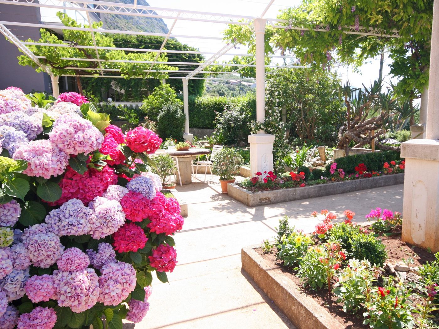 Apartments Cakelic-Croatia-MLINI-Lobby-8