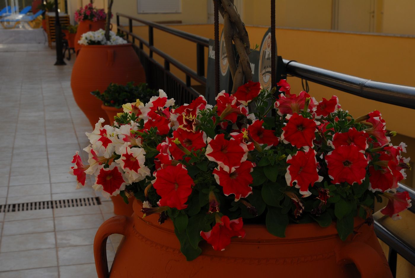 Elpis-Studios---Apartments-General-view-19