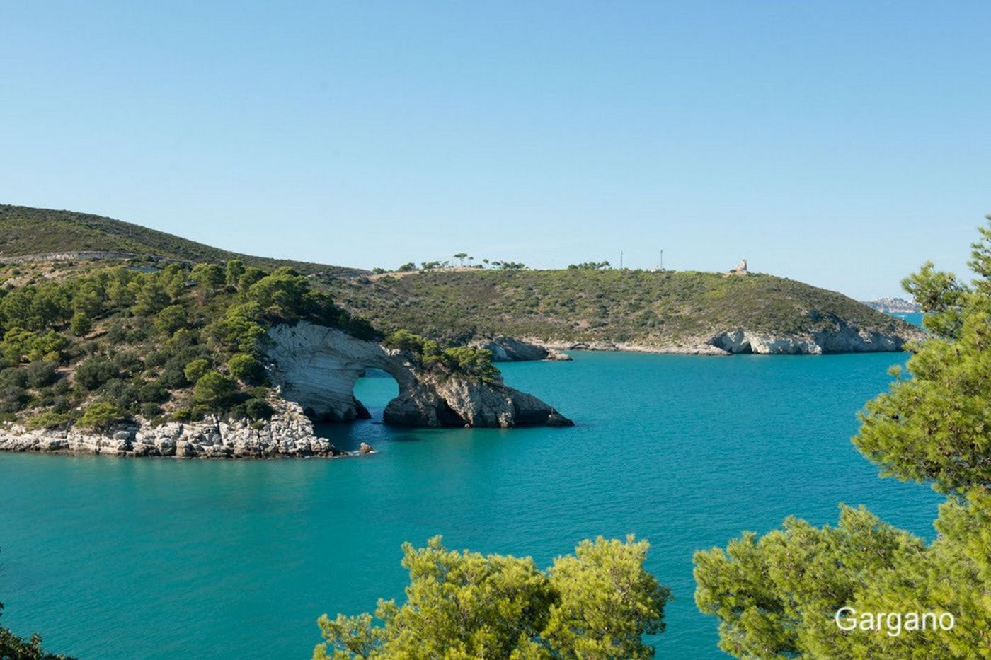 Pizzomunno Vieste Palace Hotel-Italy-VIESTE-General view-5