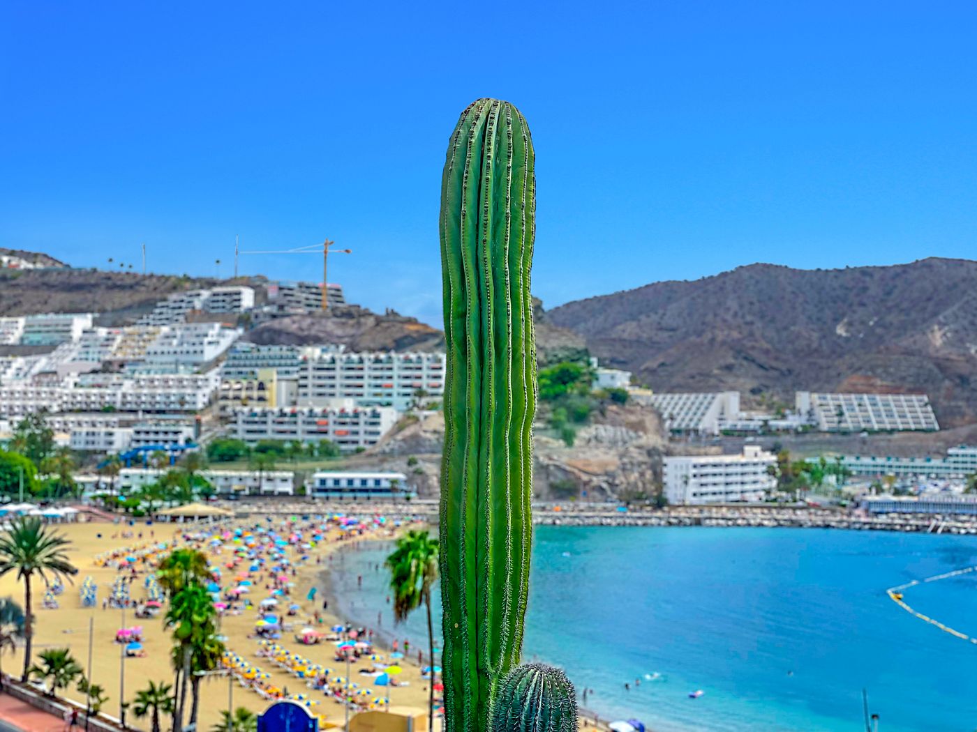 Punta-del-Rey-Beach-24