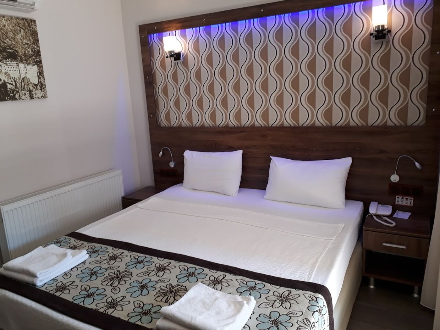 Dolphin-Apart-Room-14