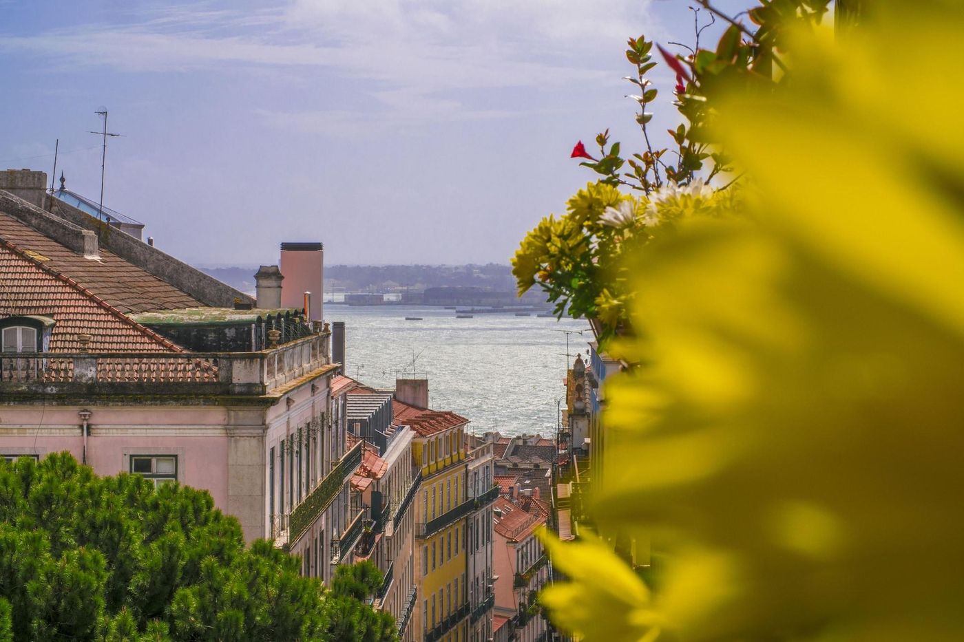 Casinha-Das-Flores-Room-10