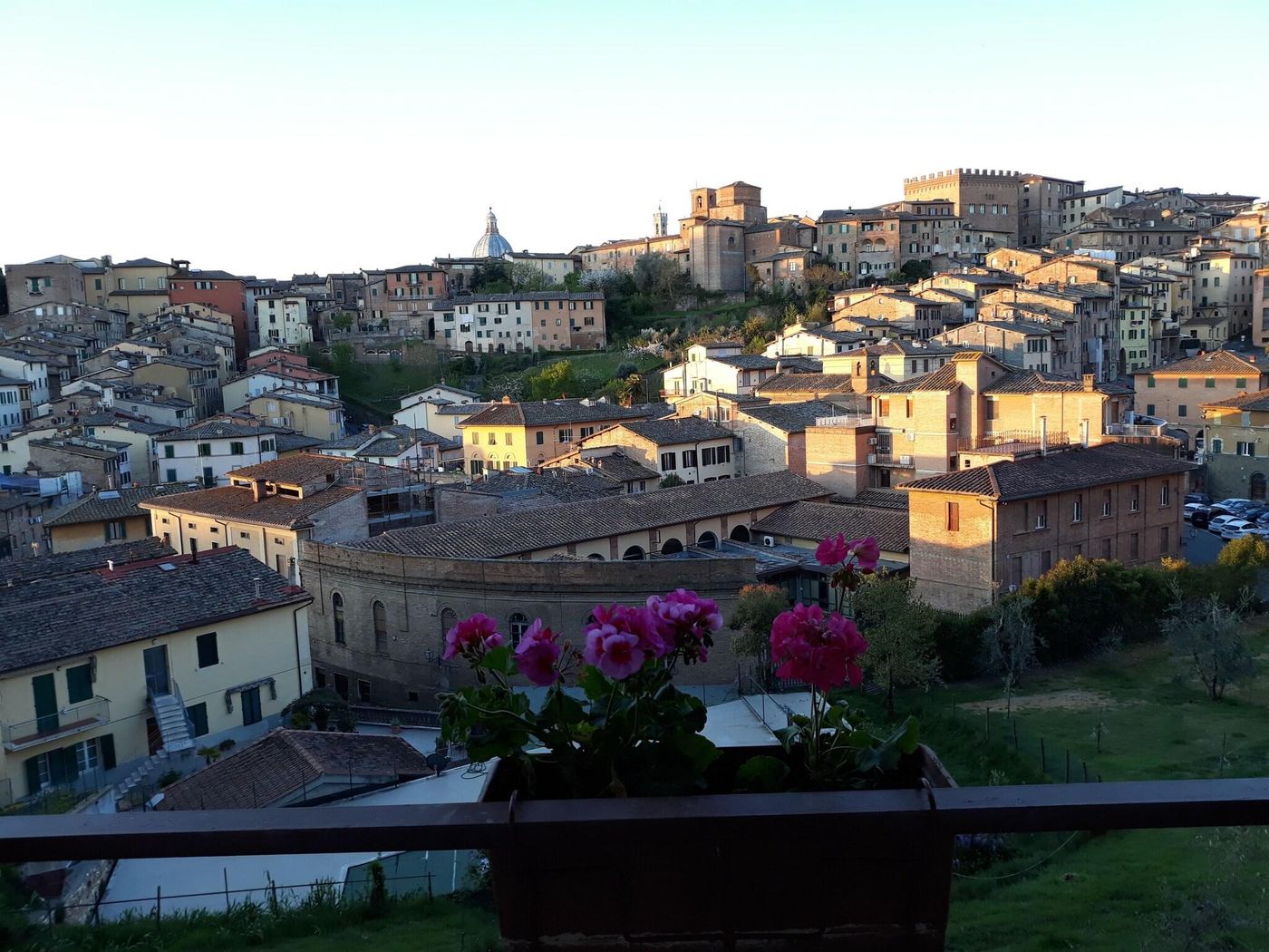 Minerva-General-view-3