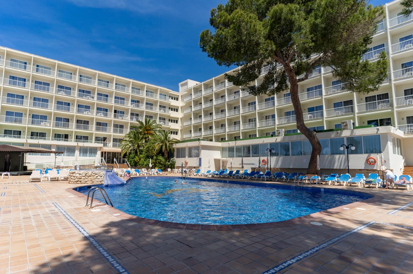 Moon Dreams Coral Beach