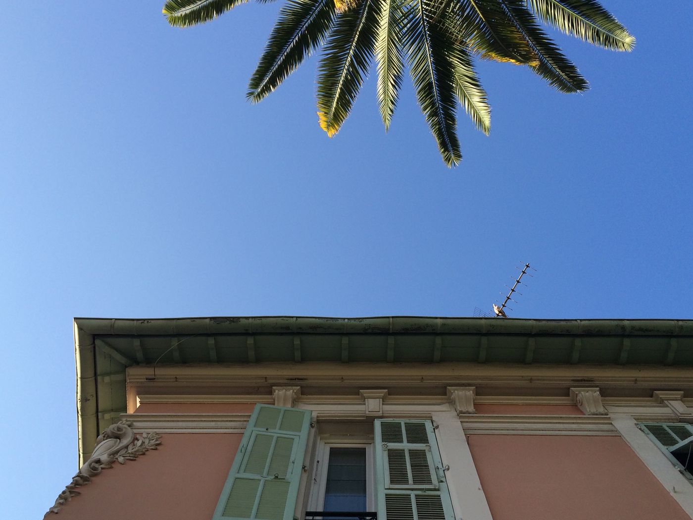 Villa-Rose-General-view-7