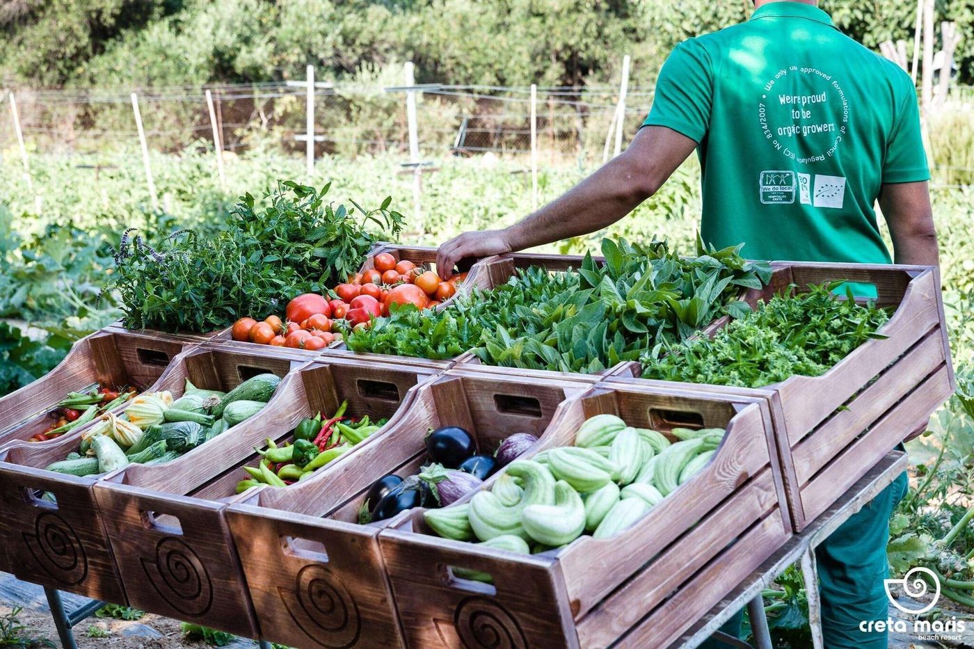 Creta-Maris-Beach-Resort-Terrace-82