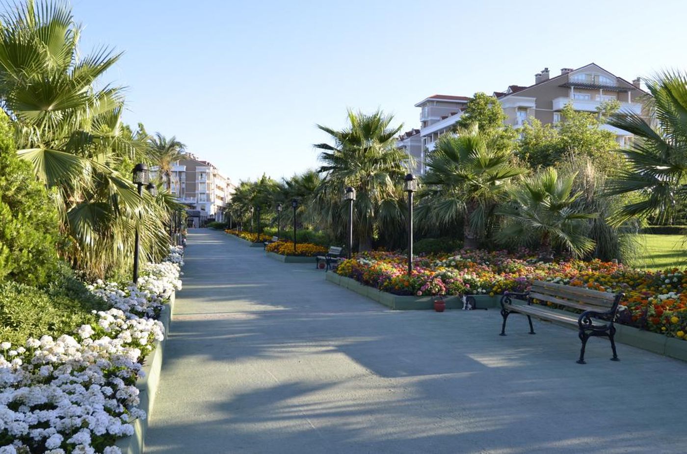 Trendy Hotels Aspendos Beach