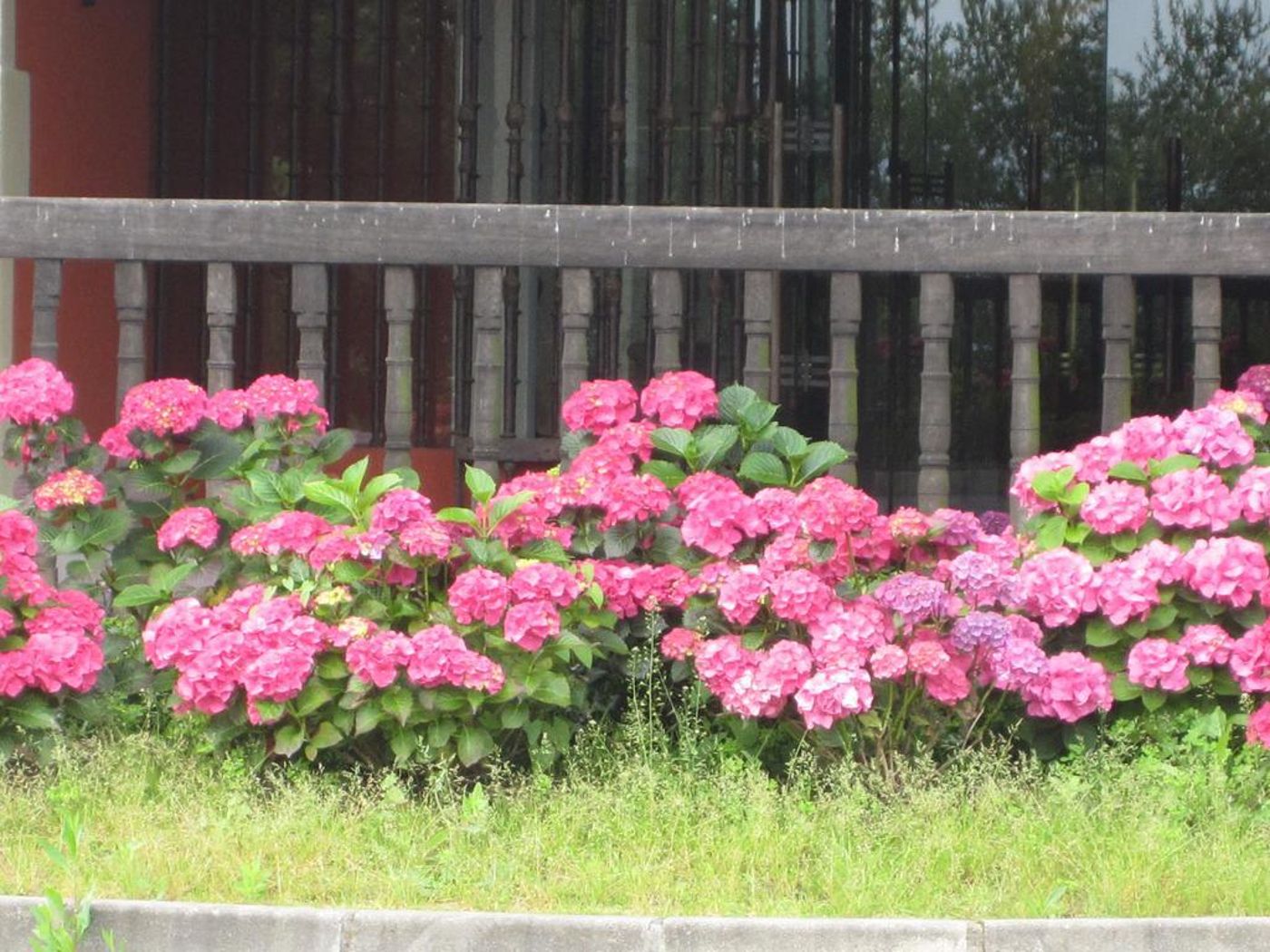 Palacio Urgoiti-Spain-BILBAO- MUNGIA-General view-3