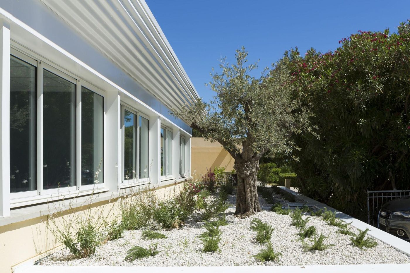 Operalia Hotel Les Pins - France - BALARUC LES BAINS - General view - 6