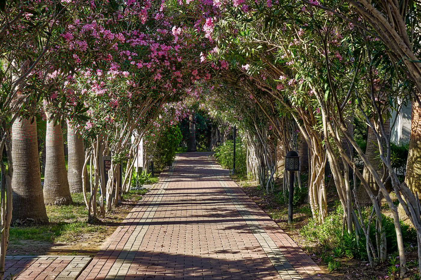 Seaden Sea World Resort And Spa