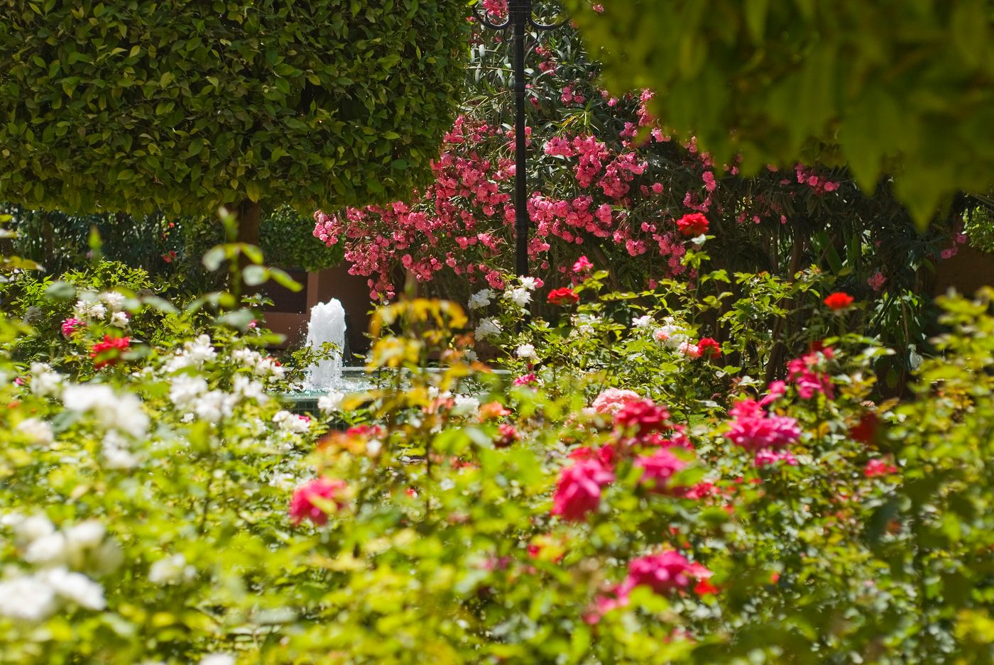 Marrakech-Semiramis-General-view-12