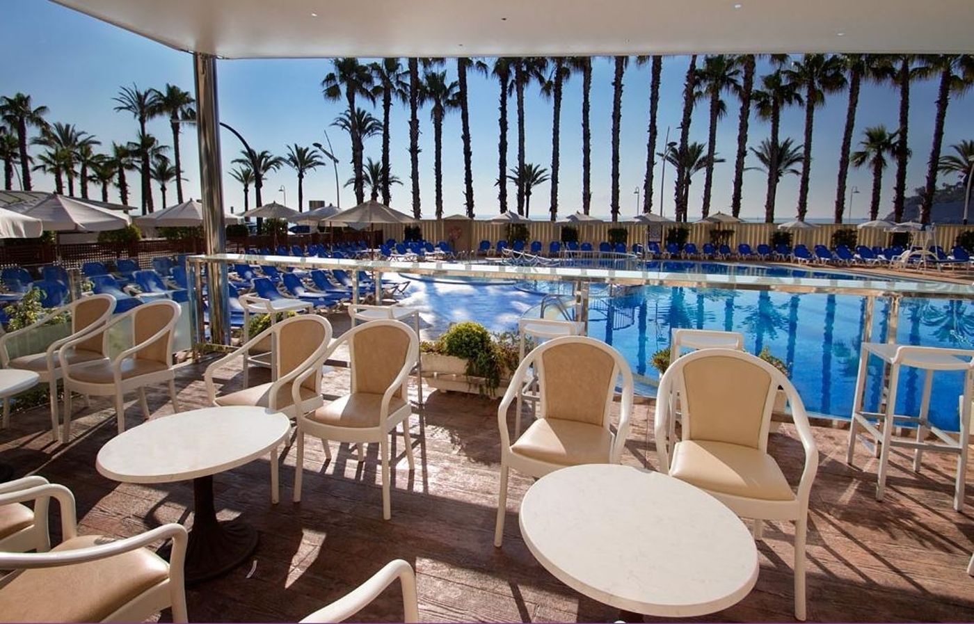 Servigroup Papa Luna