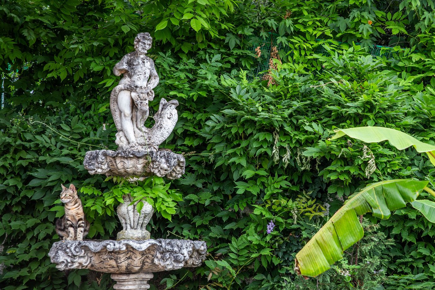 Victoria-Hill-Terrace-19